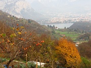 24 frutti di stagione